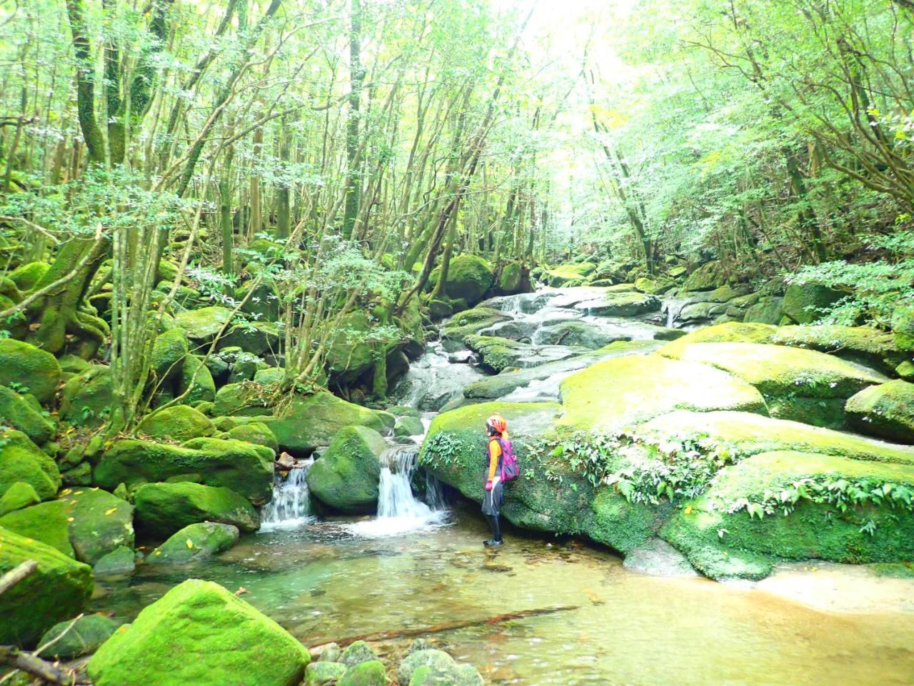 Yakushima Cottage Morino Fairy All Cotage With Open-Air Bath Екстер'єр фото