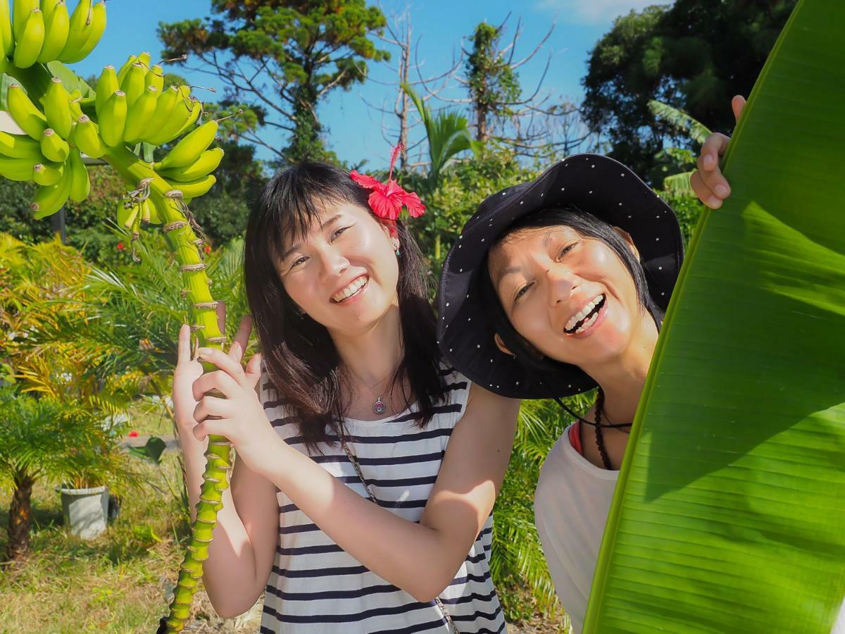 Yakushima Cottage Morino Fairy All Cotage With Open-Air Bath Екстер'єр фото